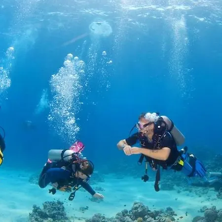 Seaside House, Maratea, Breathtaking Views בית נופש *